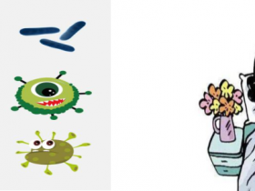 百级层流床!鄂州市中心医院血液内科率先引进